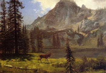 Albert Bierstadt : Call of the Wild